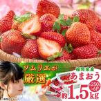 春あまおう6P BGAG026 あまおういちご