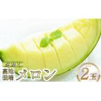 メロン 青肉 タカミ 2玉