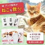 ねこ セット WithCatオリジナルカレンダー&ポチ袋