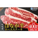 牛肉 牛 肉 ろーすすてーき ステーキ サーロイン