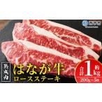 牛肉 牛 肉 ろーすすてーき ステーキ サーロイン