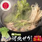 せり鍋セット せり5束 3-4人前 河北せり