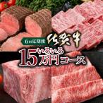 いろいろ15万コース