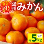 温州みかん5kg 果物 温州みかん みかん