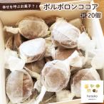 ポルボロンココア20個 No.554
