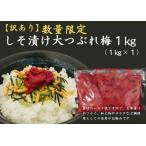 訳あり 梅干し しそ漬け 大つぶれ梅 1kg