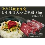 訳あり 梅干し しそ漬け 大つぶれ梅 3kg