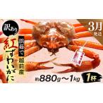 ふるさと納税 【訳あり】≪浜茹で≫越前産 紅ずわいがに × 1杯（生で約880g〜1kg）【紅ズワイガニ カニ かに 蟹】【紅ずわいがに】【3月発.. 福井県越前町