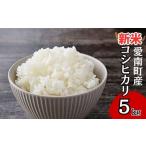 新米 令和7年度産 奥山の冷たい水で育てた