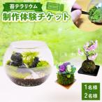 苔テラリウムの制作体験チケット 1名様