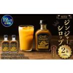 Craft GingerS 200ml×2