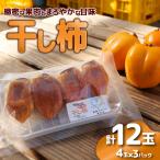 干し柿 12玉