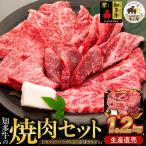 知多牛 響 焼肉セット 1.2kg
