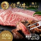 ステーキ 但馬牛 サーロイン 400g