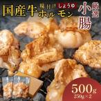 ホルモン黒毛和牛 小腸500g