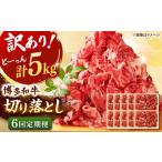 博多和牛 切り落とし 5kg