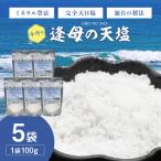 手作り天然塩 100g×5パック