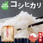 コシヒカリ10kg 精米 米 お米 白米 ご飯