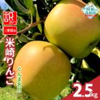 りんご サンふじ 2.5kg