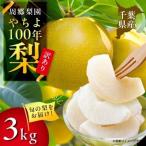 周郷梨園のやちよ100年梨 3kg