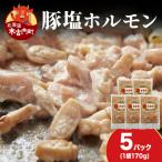 味付け豚ホルモン 塩 170g