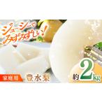 川渕果樹園 豊水梨 約2kg