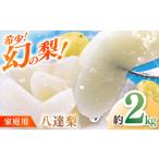 川渕果樹園 八達梨 約2kg
