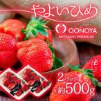 苺大野屋 やよいひめ 厳選いちご250g×2パック 合計500g