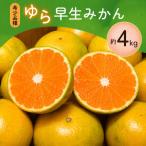 こだわりの極早生みかん 約4kg