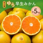 甘くて濃厚 希少品種 ご ゆら早生みかん 約5kg