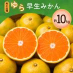 甘くて濃厚 希少品種 ご ゆら早生みかん 約10kg