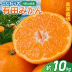 農家直送 こだわりの完熟 有田みかん 約10kg+150g