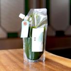 かき氷シロップ 抹茶 和kitchenかんな
