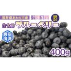 fu.... налог [ есть перевод ] рефрижератор плоды Fukui префектура ... город производство сырой еда для голубика вакуум рефрижератор 400g / голубика рефрижератор местного производства глаз. здоровье крупный . кислота . действие.. Fukui префектура ... город 