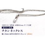 天然 ダイヤ 0.03ct チタンネックレス