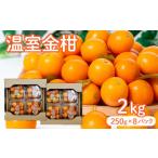 温室金柑 1kg