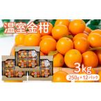 温室金柑 1kg