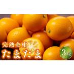 完熟きんかん たまたま 3kg