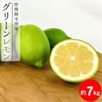 安心のグリーンレモン7kg 予定
