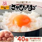 坂本養鶏 大山の麓で育った さかもとのたまご 40個