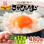 さかもとのたまご 40個