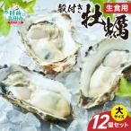 大サイズ12個 冷蔵 生食 牡蠣