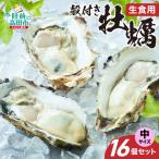 中サイズ16個 冷蔵 生食 牡蠣