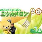 ユウカメロン 1玉
