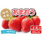 あまおう 計約1.5kg 250g×6P