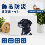 非常用トイレ アートトワレ 防災グッズ 凝固剤
