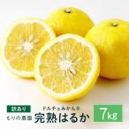 完熟はるか 7kg