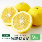 完熟はるか 9kg