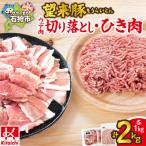 望来豚 ひき肉500g×2 合計1kg