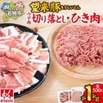 望来豚 ウデ肉切り落とし500g ひき肉500g 合計1kg